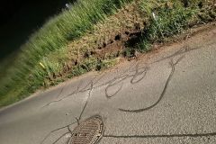 6ed05a54-267c-405c-a792-f50887563eee