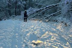 226b6903-3542-4670-aef5-d5d3be6acea2