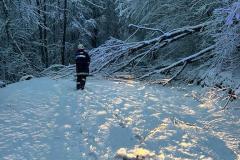 580c12bf-2249-4225-b442-3439bb29e134