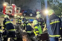 3f873f39-8645-4b7c-9ae9-e3abfd0c487f