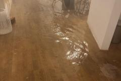 0c006fcb-bf43-431a-9fa6-822637571393