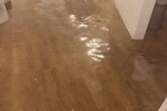 3a4649ba-18f8-49c4-a4e8-6e8faf1e2241