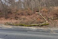 2025-02-15 Einsatz