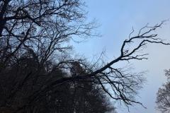 0a023e13-5232-411b-a99b-739e6a82b6f0