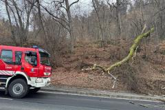 19c8d2ae-0eaf-41b8-9c00-e5ca4c148b0a