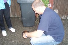 OLYMPUS DIGITAL CAMERA