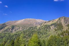IMG_0877