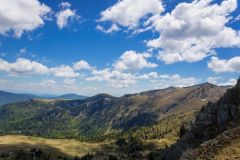 IMG_0935