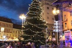 405dd8b8-80d1-41f1-b4c8-9dd1e3bf462a