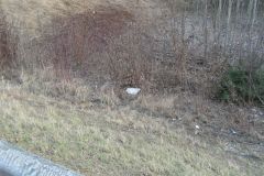 MINOLTA DIGITAL CAMERA