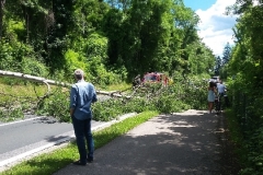 0109efb51ac8d059efa8994982c4ec07d22e42d77b