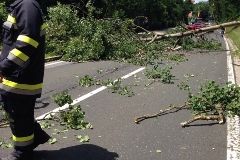 011a3704e8c27485b3b68fd3019408a3f587f32ecc