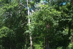 0141b944b6c0da6a8071239ebdfec253b8d98a6c5f