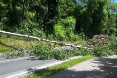 01628bb3a8275818932faecdbeeab984c42dc1cd1c