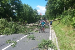 01d78cf222f998b8a832362628424394d31d650e85