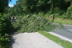 01f55ea27c03ff4848074cd75ce35455434eab66cc