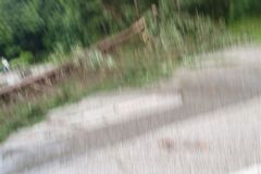 Einsatz 2 21.07.2012