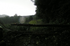 MINOLTA DIGITAL CAMERA