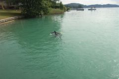 2010-05-29-Seegrundreinigung-Saag-Unterwasser-027