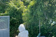 Einsatz Bienen  05.06.2021