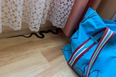 WhatsApp-Bild-2025-07-15-um-13.11.52_e5e9e7d6-scaled