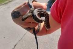 WhatsApp-Bild-2025-07-15-um-18.53.46_63a2f439