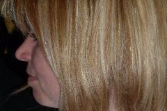 Feuerwehrschitag-2011-65