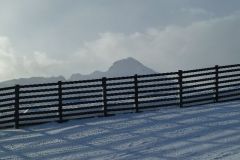 Feuerwehrschitag-2011-80