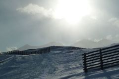 Feuerwehrschitag-2011-81