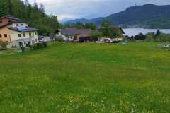 de142c68-f37b-4aa3-b5b0-b62bfeb43f07