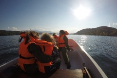 DCIM\101GOPRO\GOPR0229.