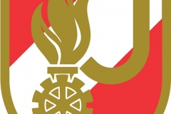 feuerwehrjugend-korpsabzeichen
