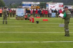 MINOLTA DIGITAL CAMERA