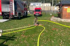 f91a13eb-669b-42a8-a207-f8cd3a68392e