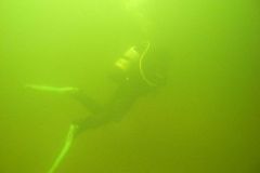 M0010149