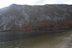 M0010169
