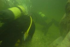 M0010191
