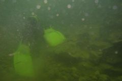 M0010198
