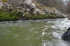 M0010205