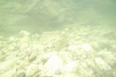 M0010223