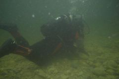 M0010226