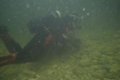 M0010227