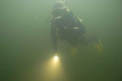M0010259