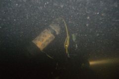 M0010265