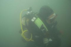 M0010286