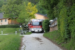 IMG_6193