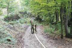 16b52d96-d725-4863-a164-ccc24cf2d219