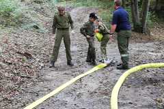 36d47cdb-cca0-413e-8eb2-72cc021fca1a