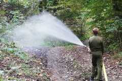 384b33a3-c00d-4a0a-be07-671f4eaa25d0