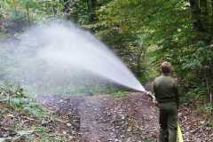 8b5564c7-9e92-43d1-9b18-889930952bea